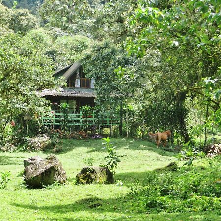 Mindo Eco Chalet Con Rio Y Cascada Extérieur photo