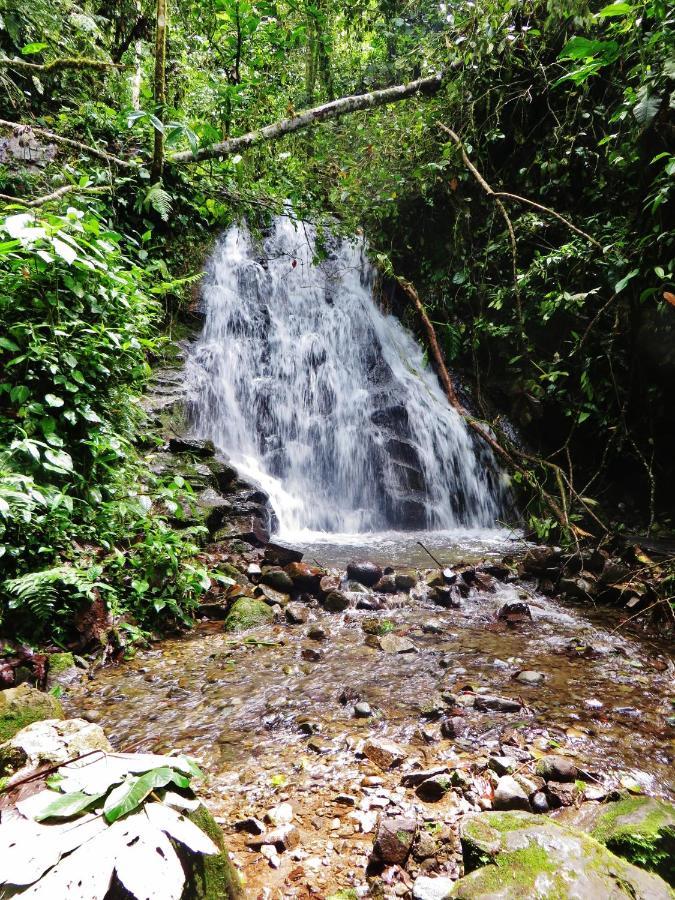 Mindo Eco Chalet Con Rio Y Cascada Extérieur photo