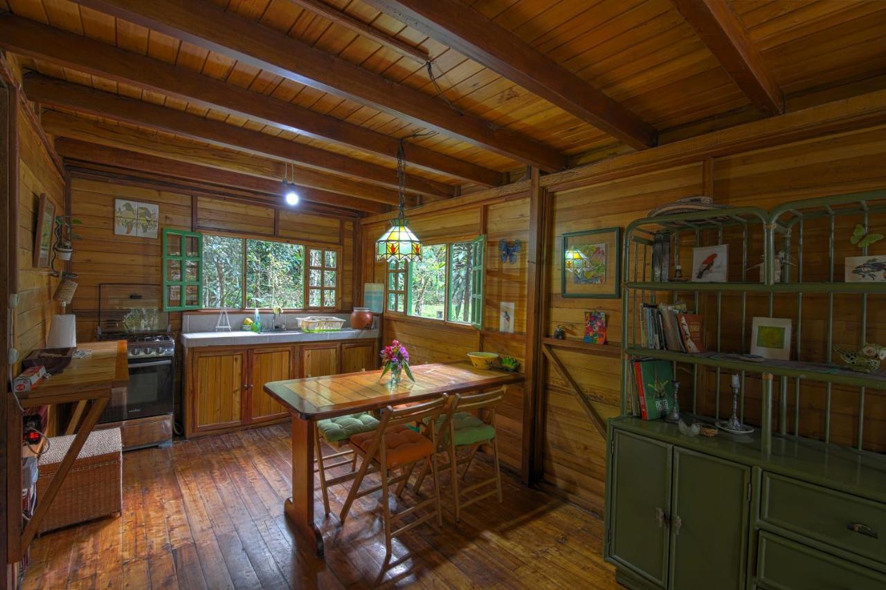 Mindo Eco Chalet Con Rio Y Cascada Extérieur photo