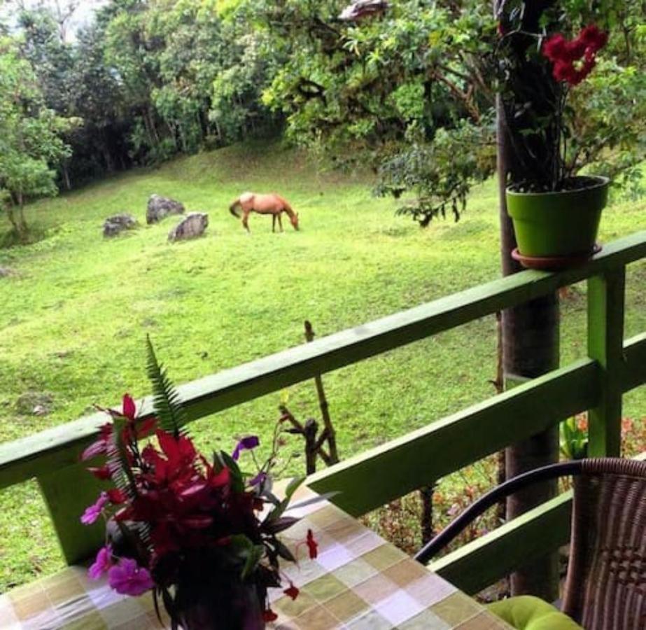 Mindo Eco Chalet Con Rio Y Cascada Extérieur photo