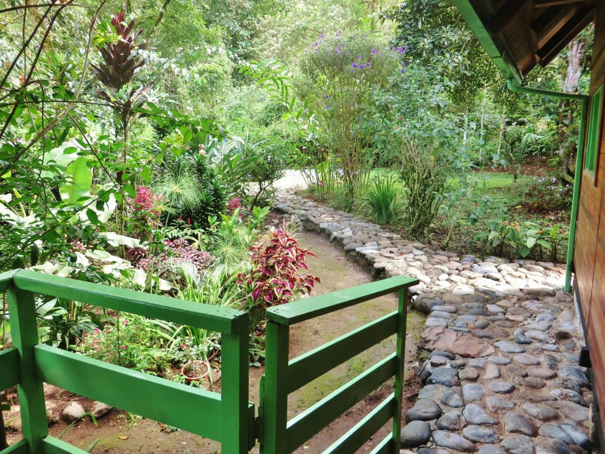 Mindo Eco Chalet Con Rio Y Cascada Extérieur photo