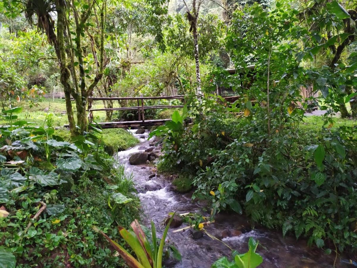 Mindo Eco Chalet Con Rio Y Cascada Extérieur photo