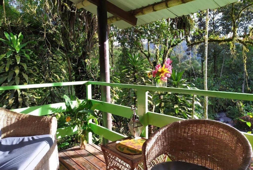Mindo Eco Chalet Con Rio Y Cascada Extérieur photo