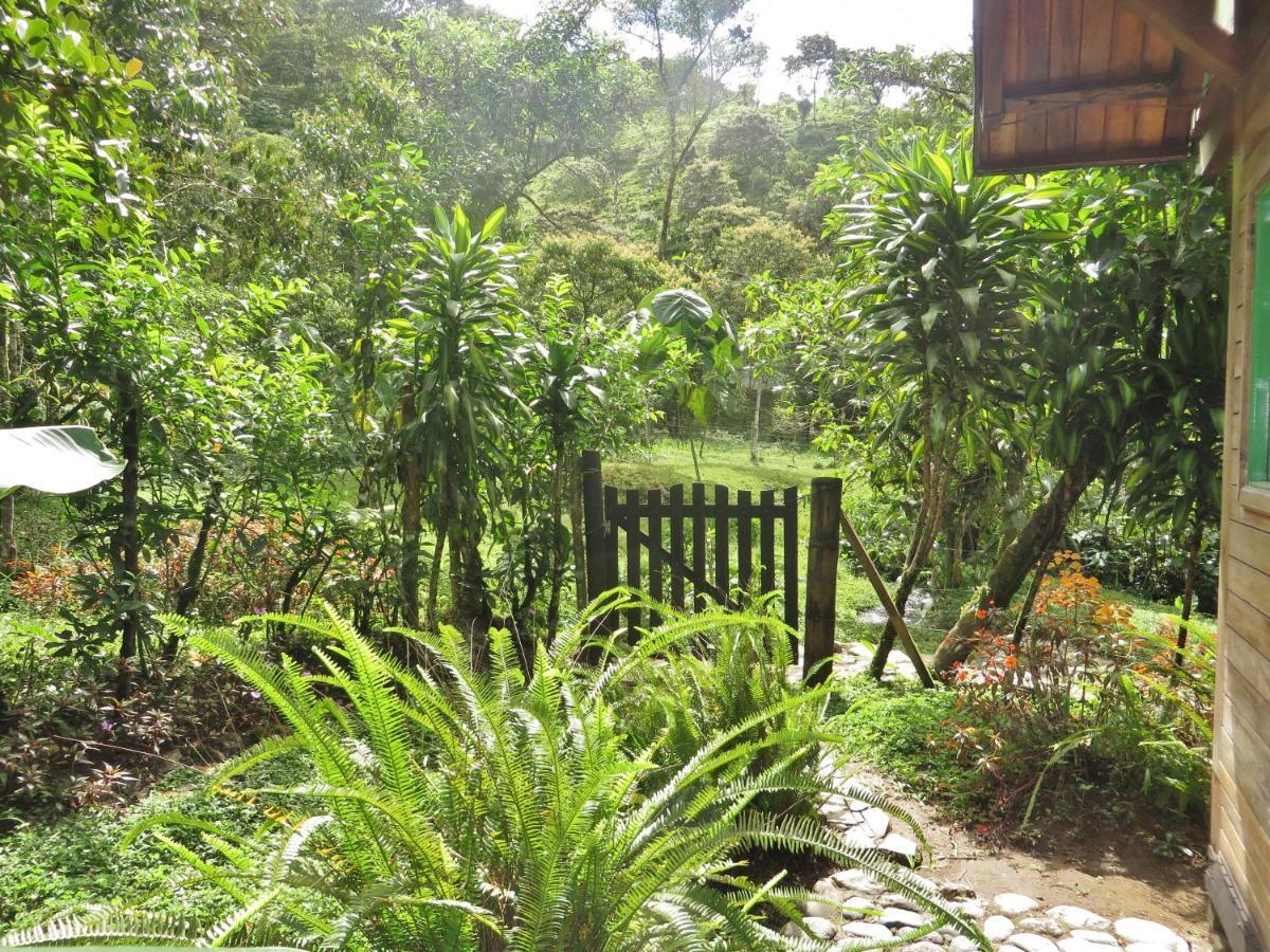 Mindo Eco Chalet Con Rio Y Cascada Extérieur photo