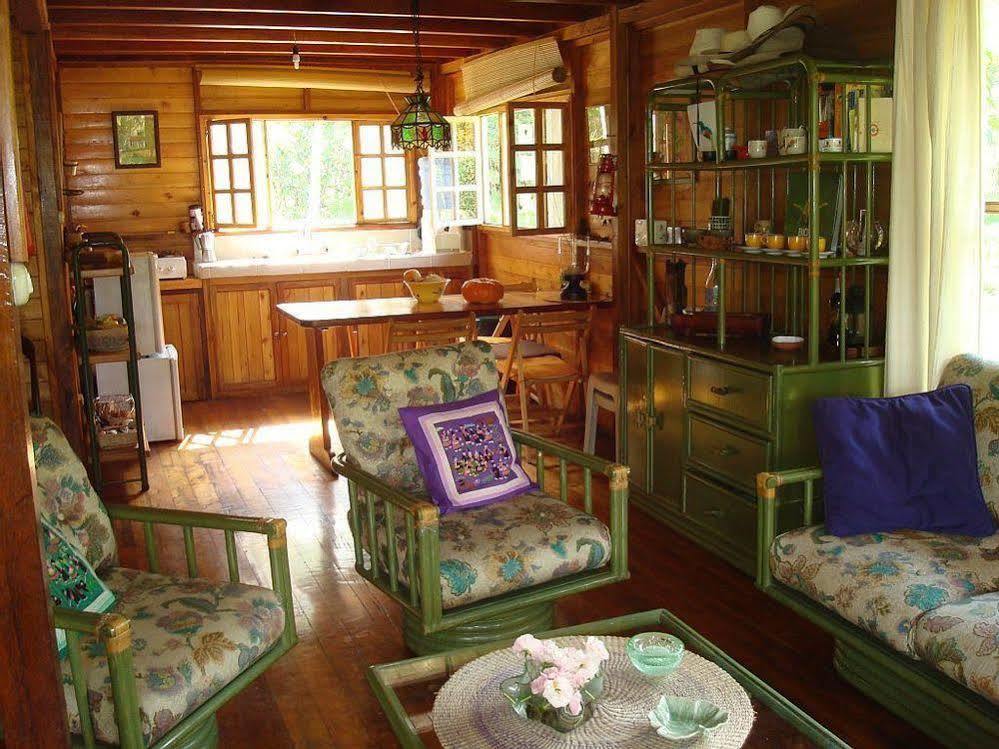 Mindo Eco Chalet Con Rio Y Cascada Extérieur photo