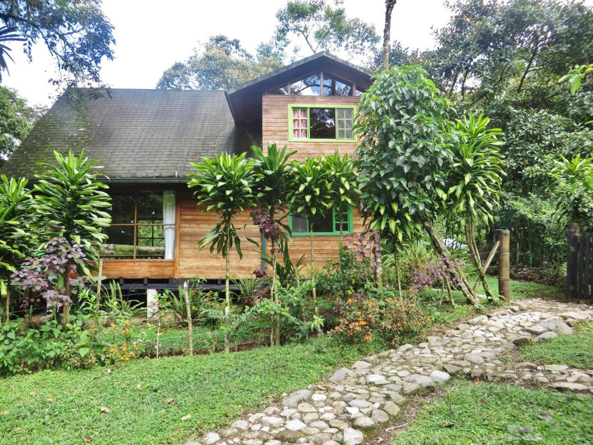 Mindo Eco Chalet Con Rio Y Cascada Extérieur photo