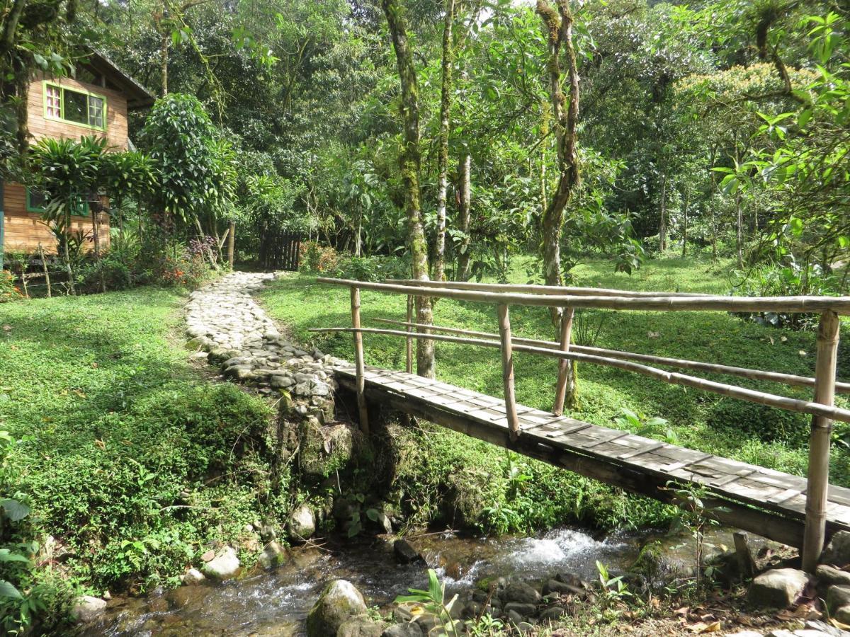 Mindo Eco Chalet Con Rio Y Cascada Extérieur photo