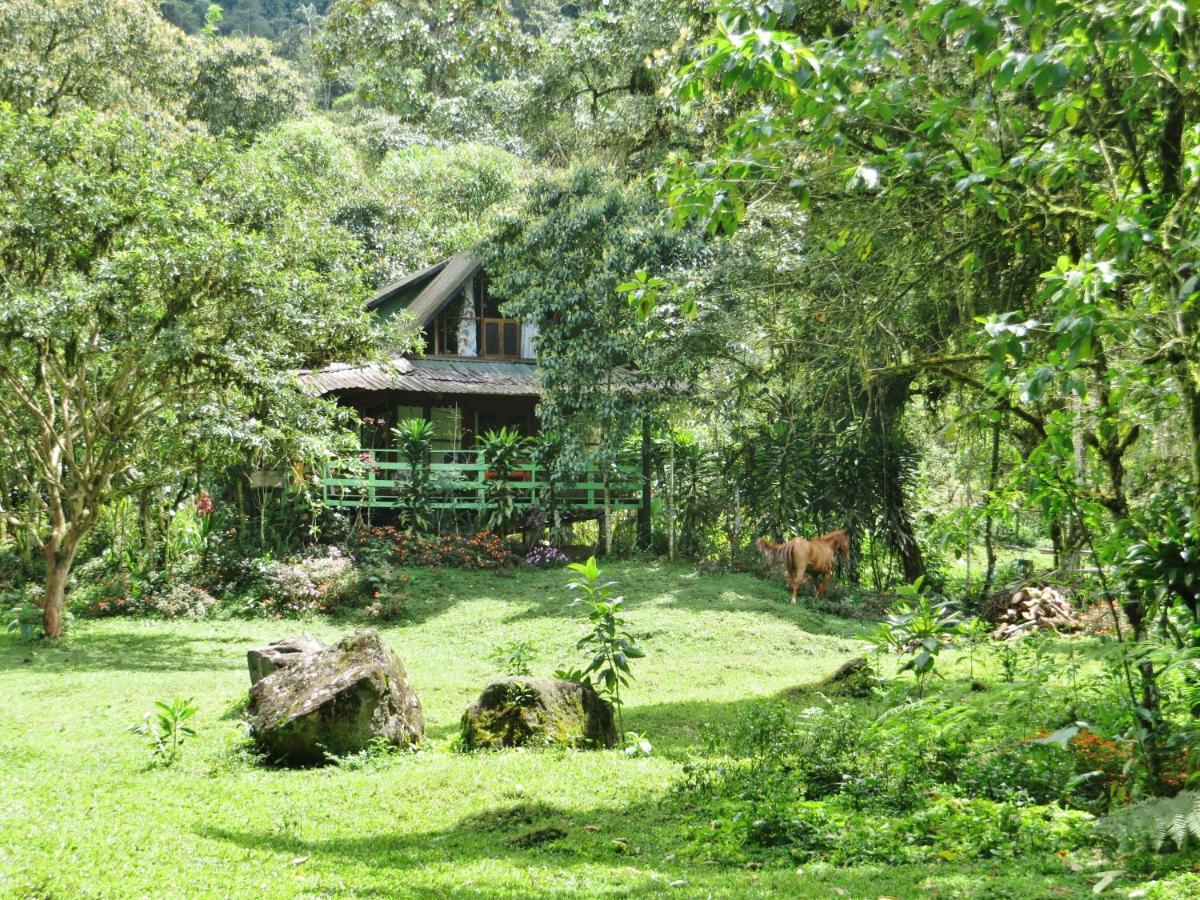 Mindo Eco Chalet Con Rio Y Cascada Extérieur photo