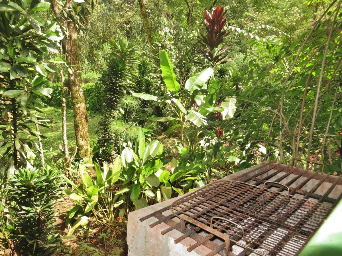 Mindo Eco Chalet Con Rio Y Cascada Extérieur photo